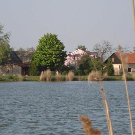 Vila Madams - Palic-Serbia المظهر الخارجي الصورة