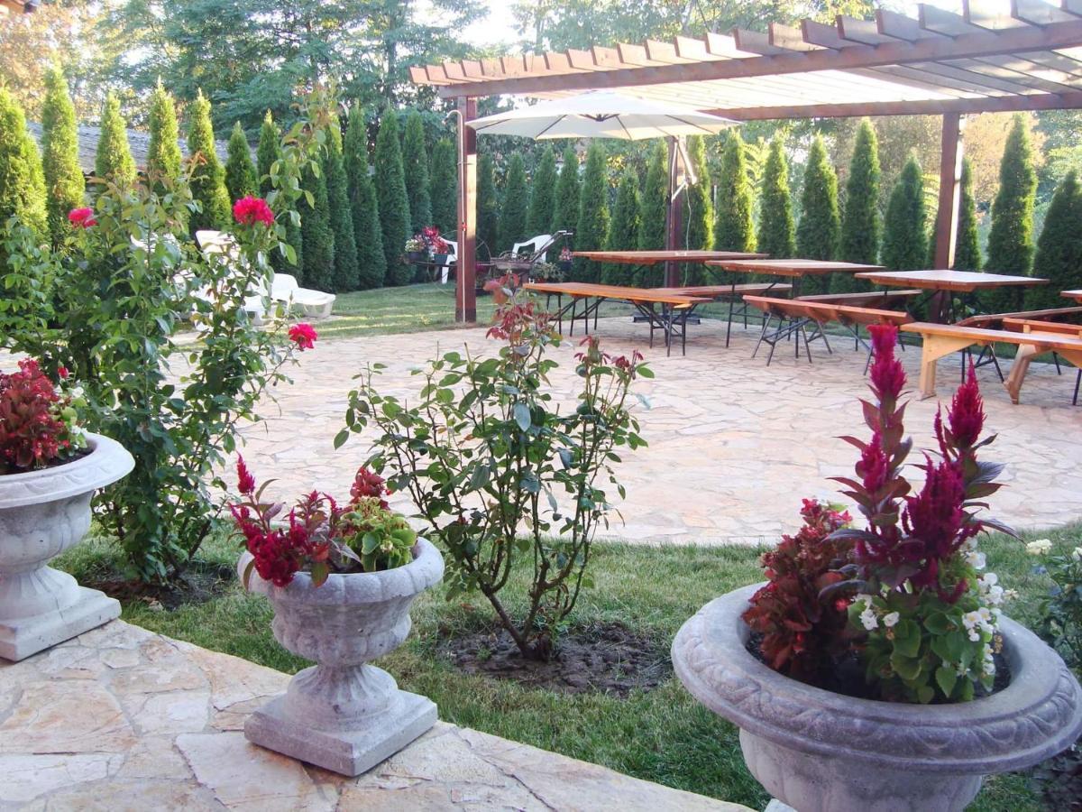 Vila Madams - Palic-Serbia المظهر الخارجي الصورة