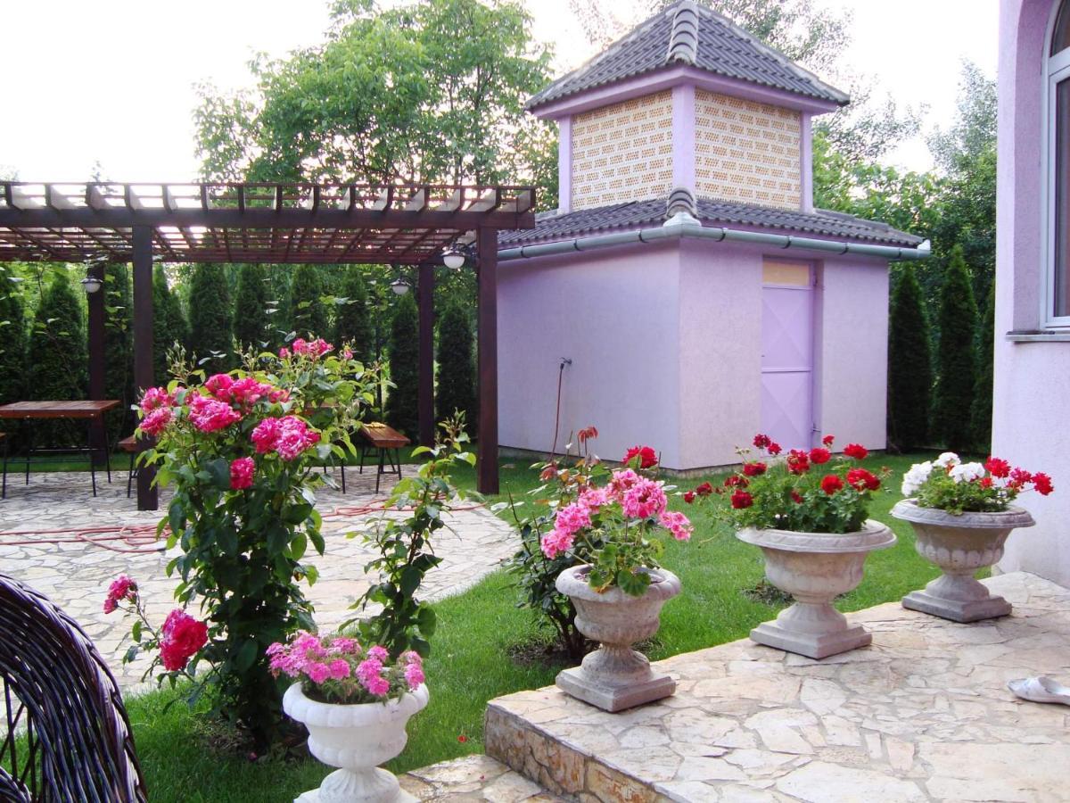 Vila Madams - Palic-Serbia المظهر الخارجي الصورة