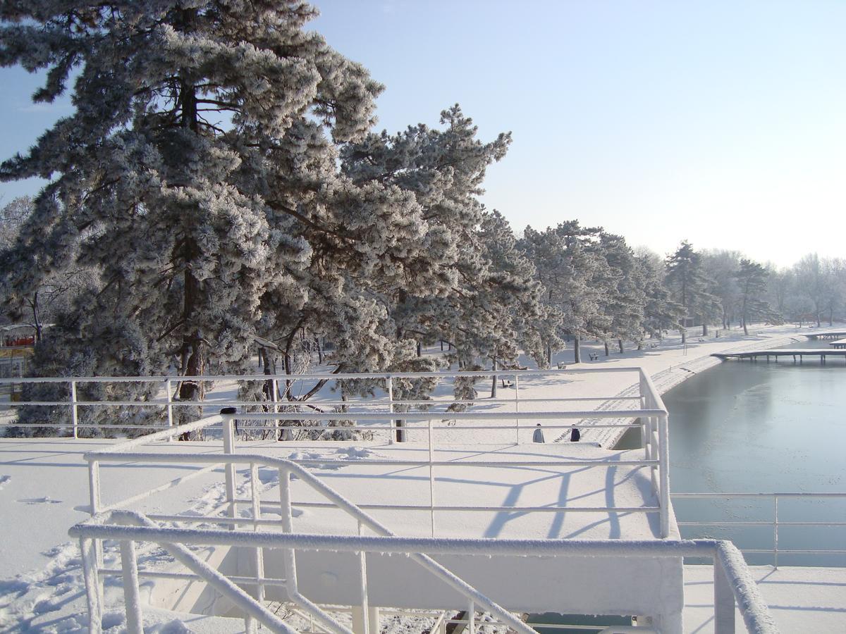 Vila Madams - Palic-Serbia المظهر الخارجي الصورة
