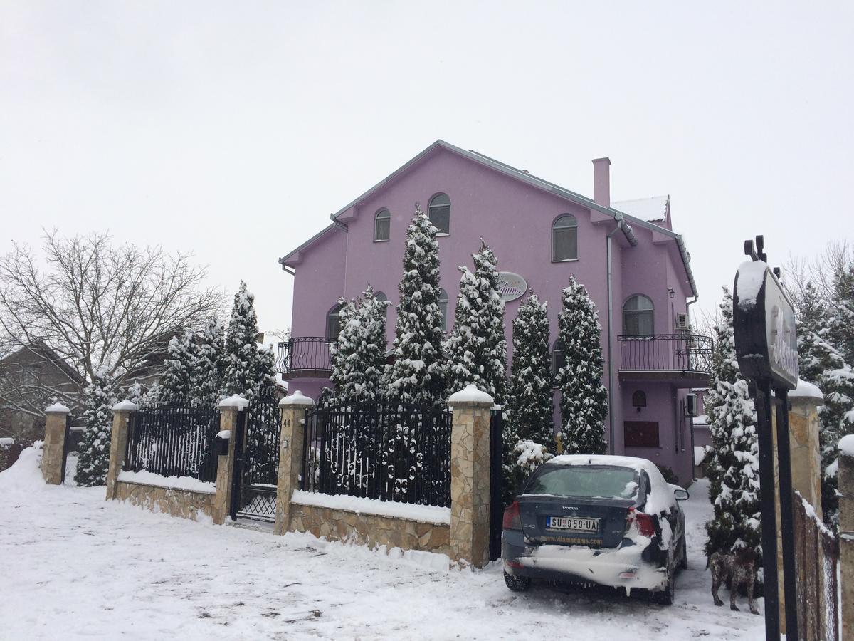 Vila Madams - Palic-Serbia المظهر الخارجي الصورة