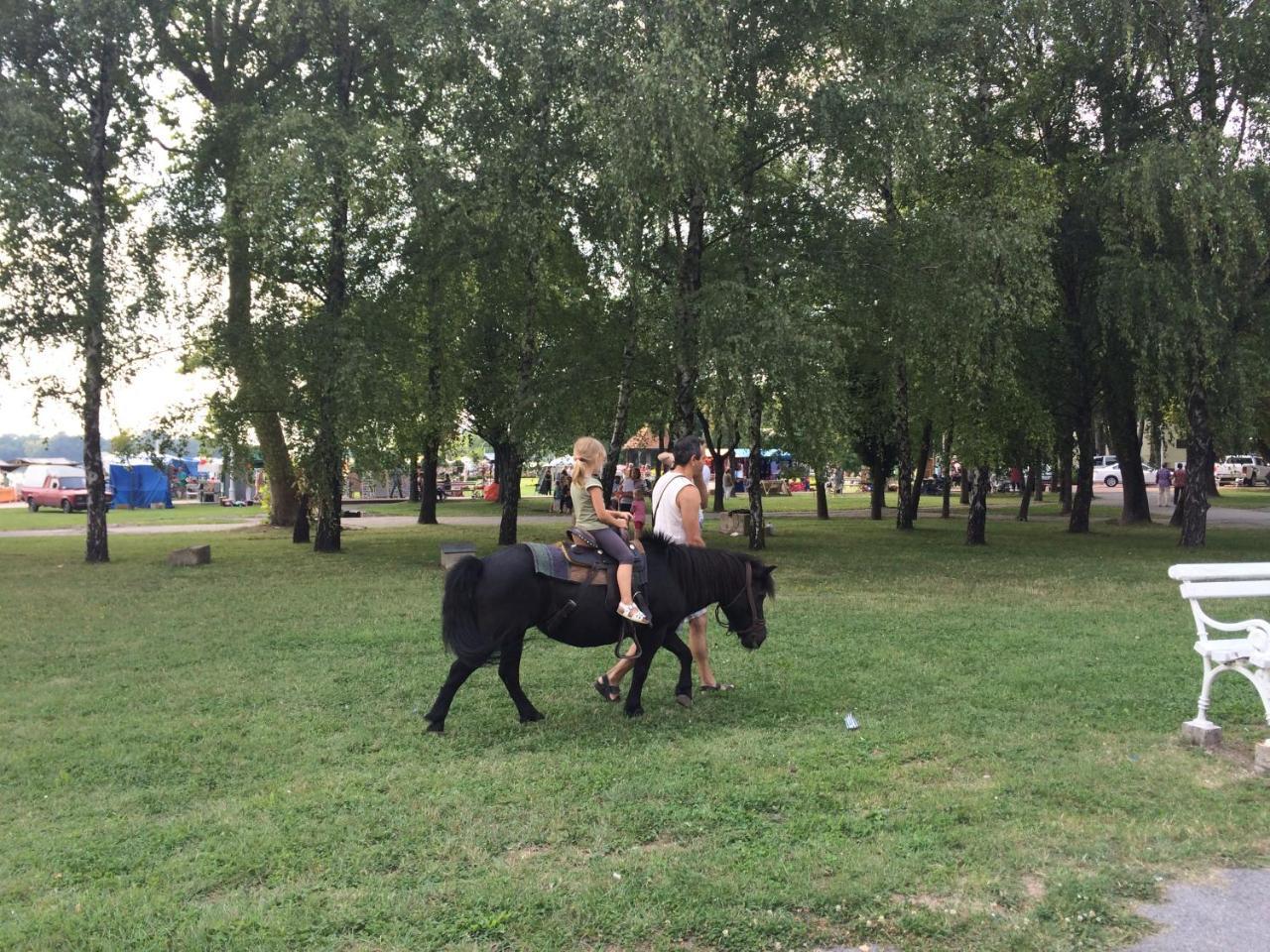 Vila Madams - Palic-Serbia المظهر الخارجي الصورة