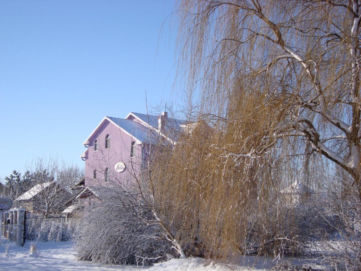 Vila Madams - Palic-Serbia المظهر الخارجي الصورة